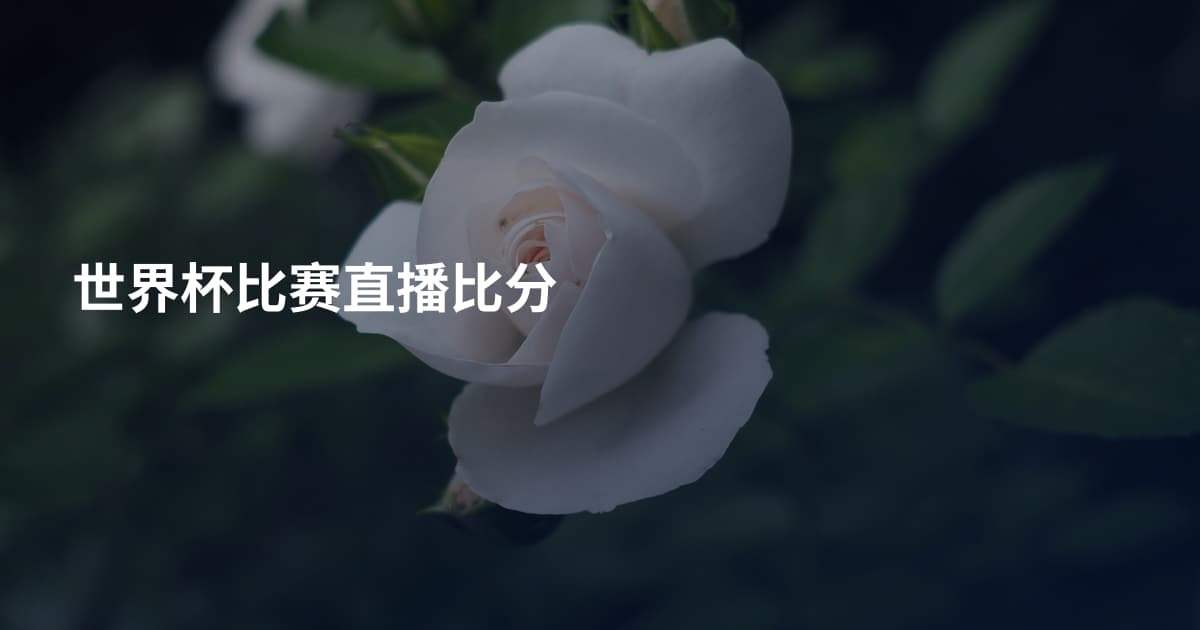 世界杯比赛直播比分