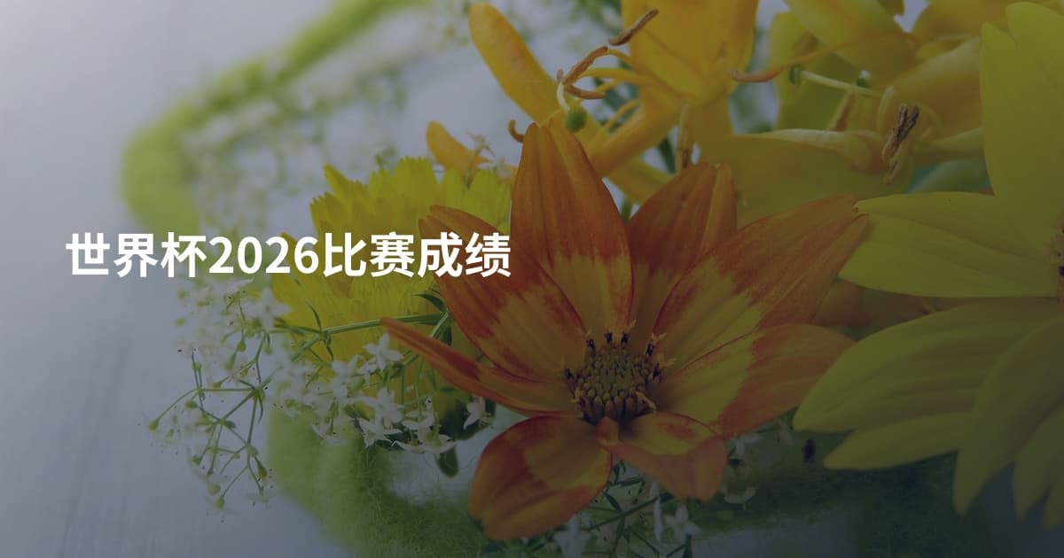 世界杯2026比赛成绩