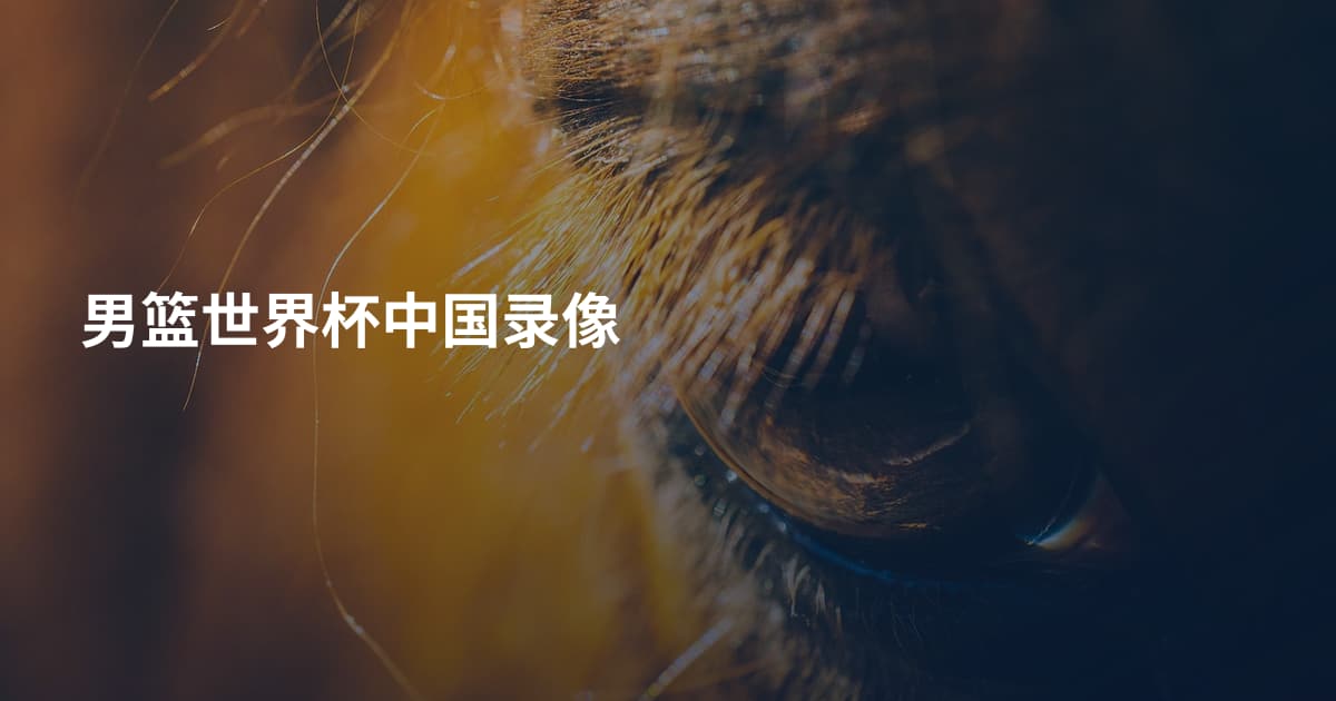 男篮世界杯中国录像