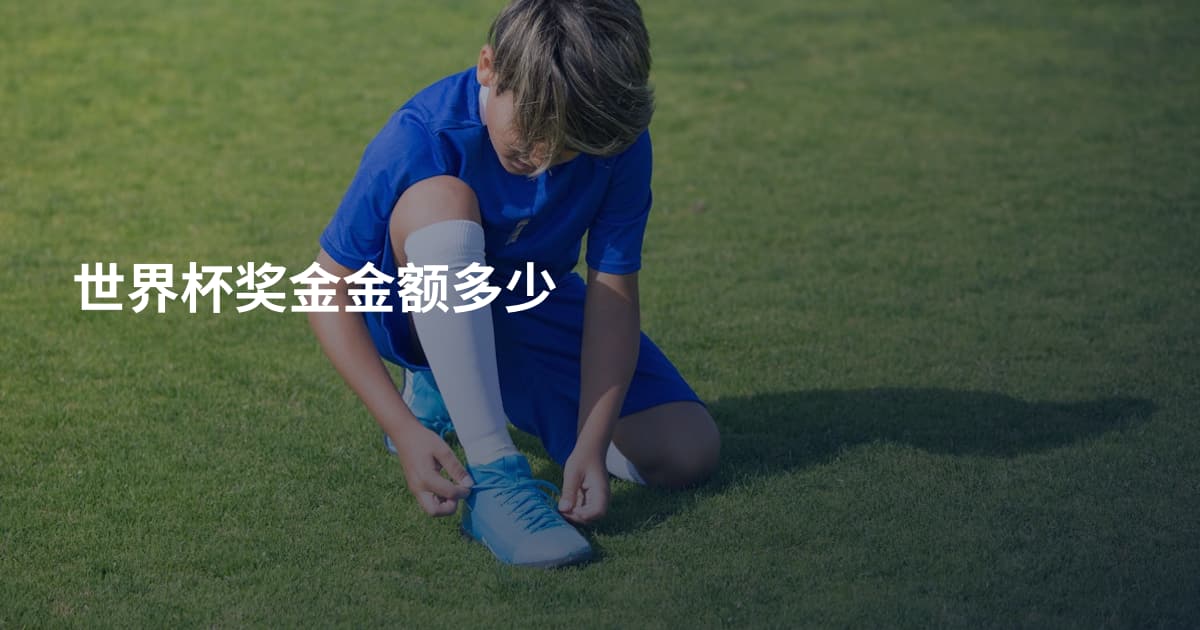 世界杯奖金金额多少