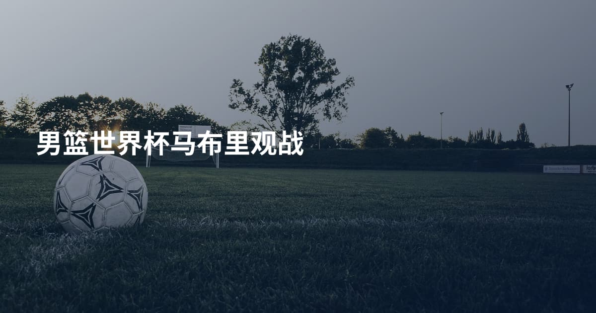 男篮世界杯马布里观战