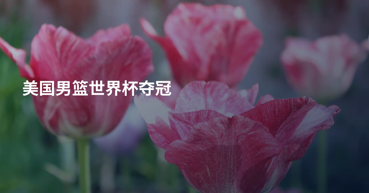 美国男篮世界杯夺冠