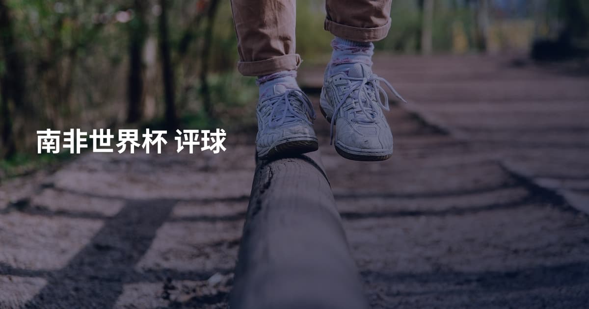 南非世界杯 评球