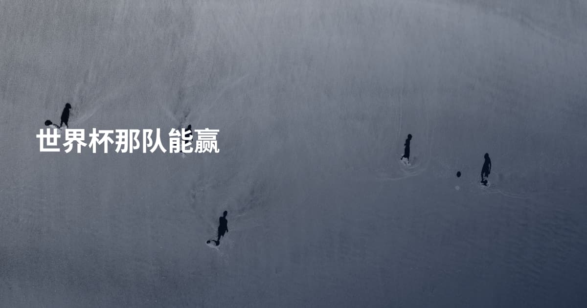 世界杯那队能赢