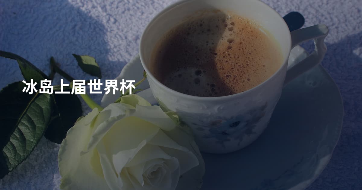 冰岛上届世界杯