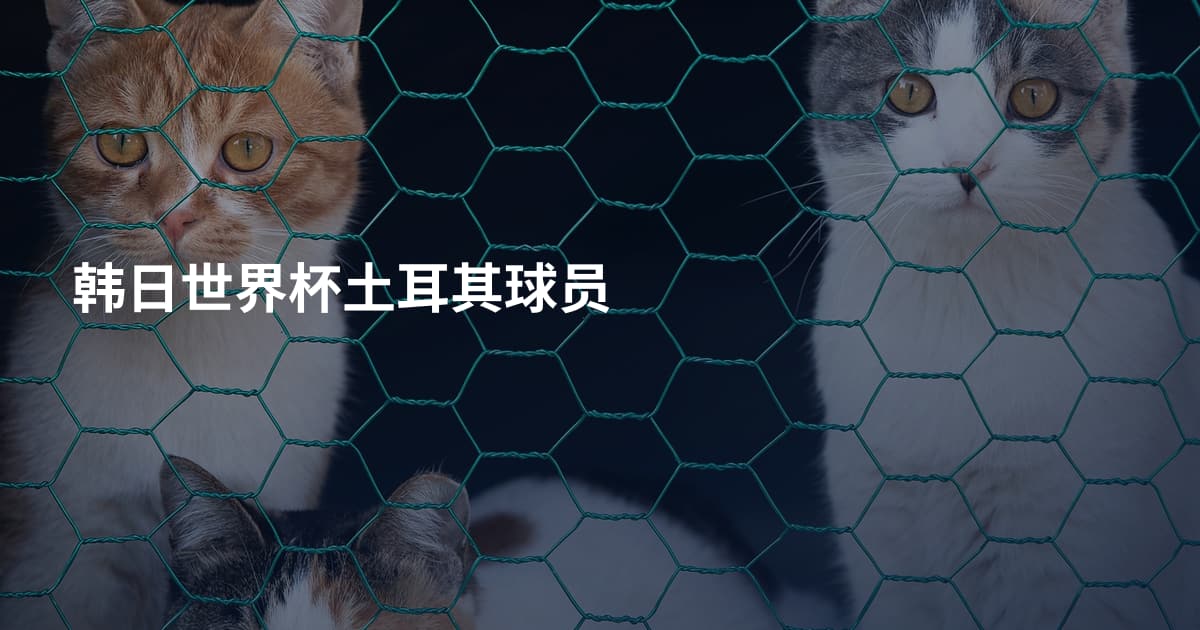 韩日世界杯土耳其球员