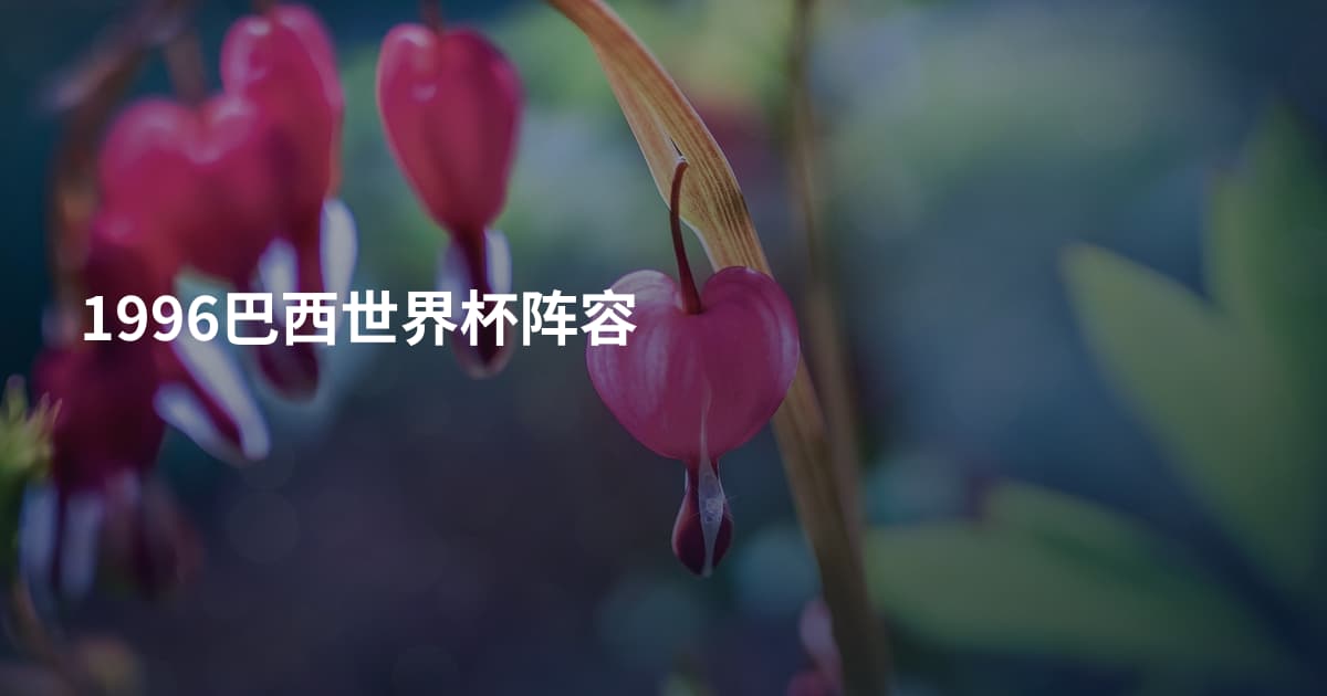 1996巴西世界杯阵容