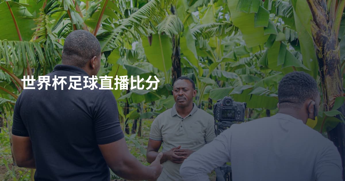 世界杯足球直播比分