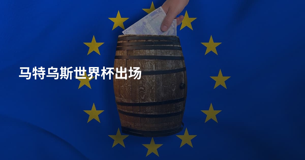 马特乌斯世界杯出场