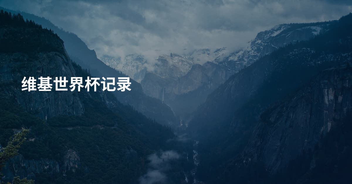 维基世界杯记录