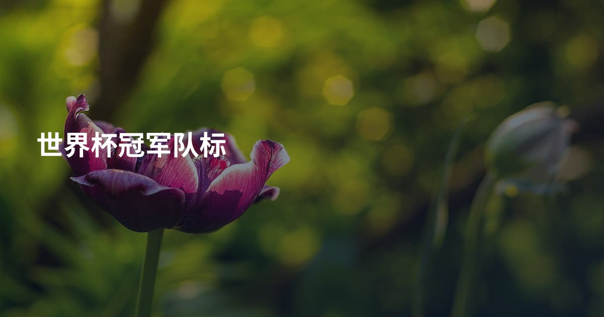 世界杯冠军队标