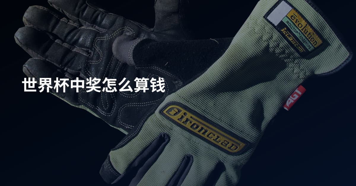世界杯中奖怎么算钱