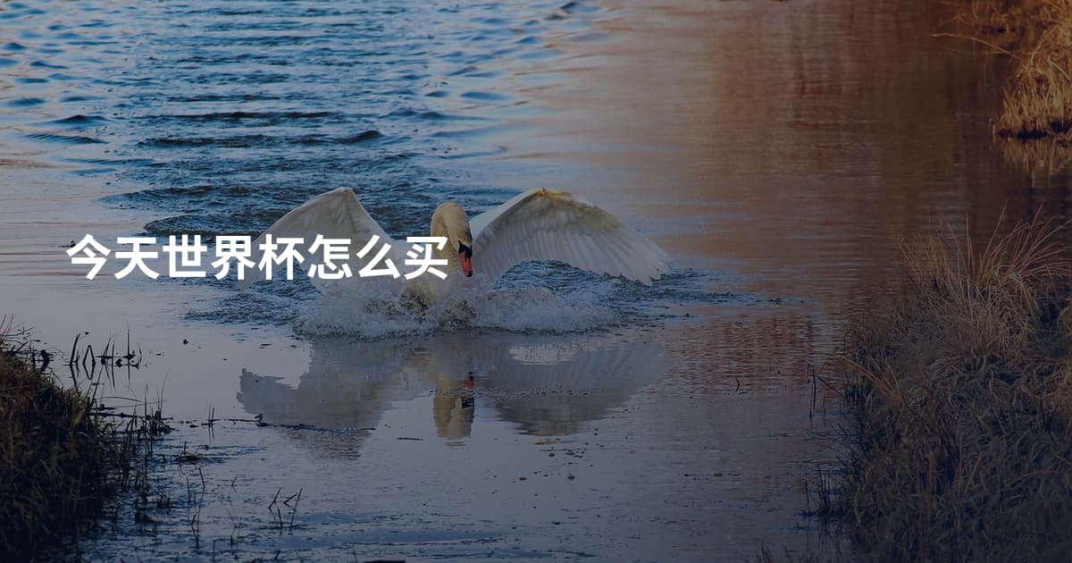 今天世界杯怎么买