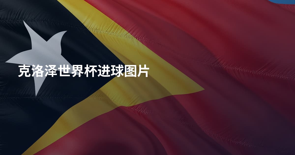 克洛泽世界杯进球图片