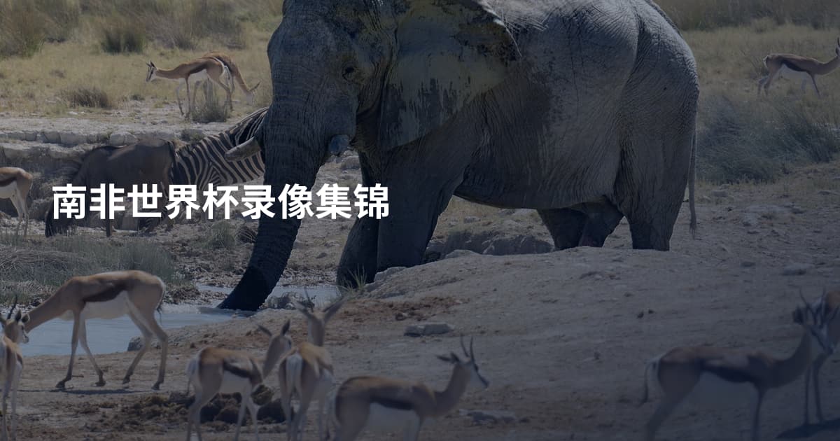南非世界杯录像集锦