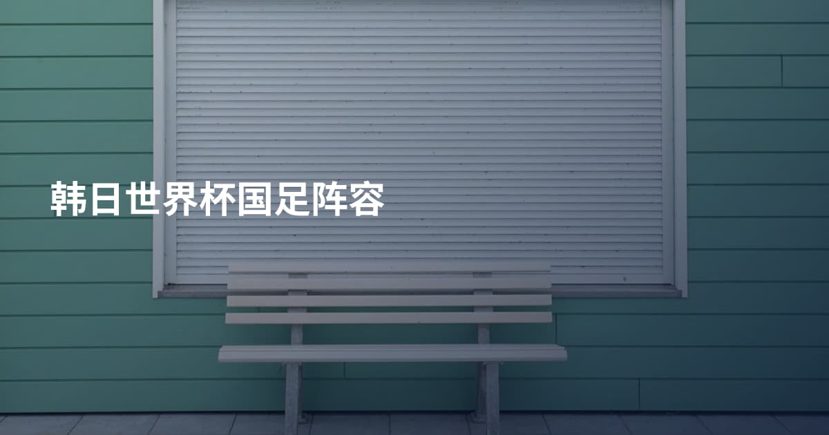 韩日世界杯国足阵容