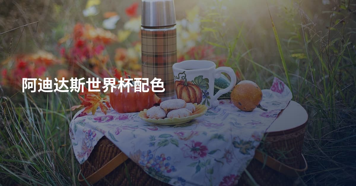阿迪达斯世界杯配色