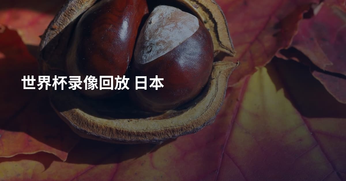 世界杯录像回放 日本