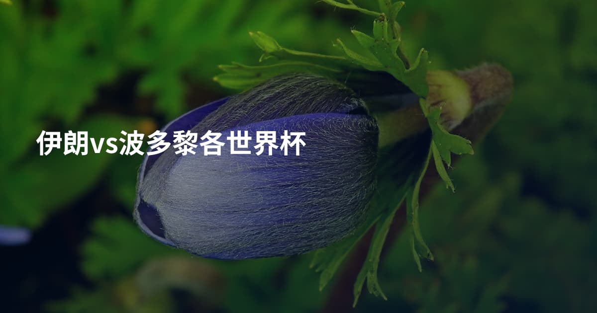 伊朗vs波多黎各世界杯