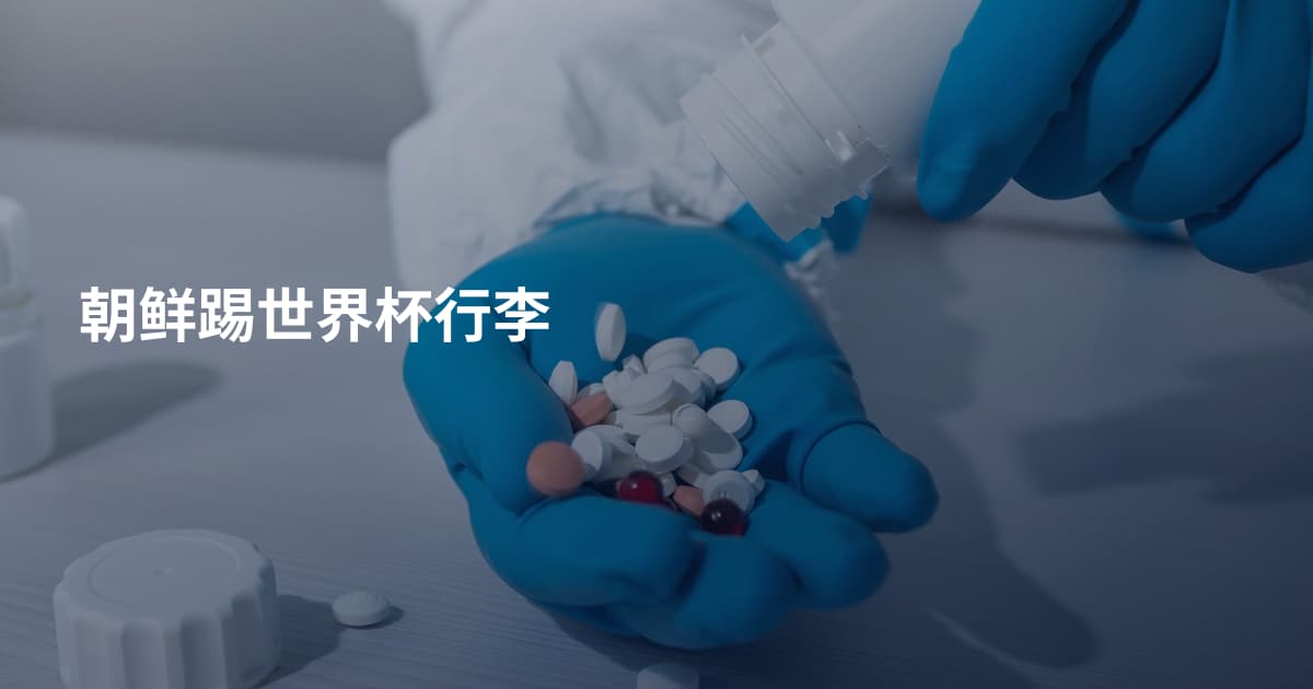 朝鲜踢世界杯行李