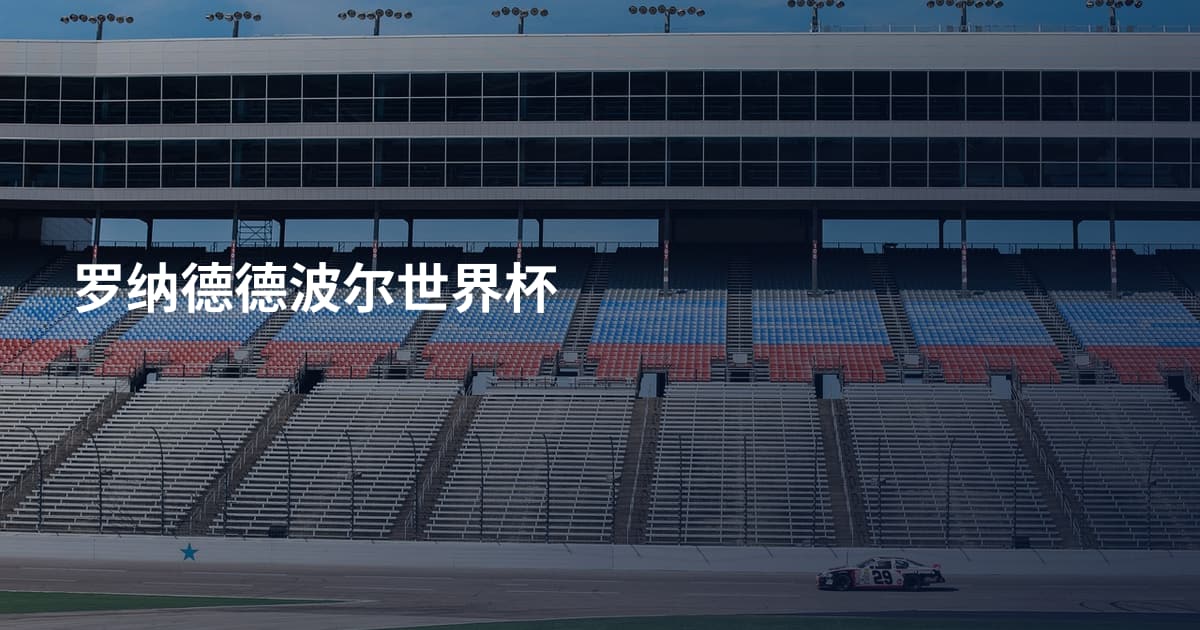 罗纳德德波尔世界杯