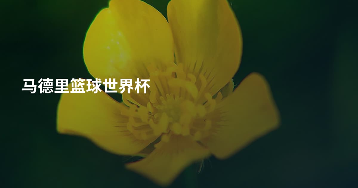 马德里篮球世界杯