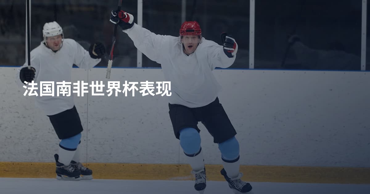 法国南非世界杯表现
