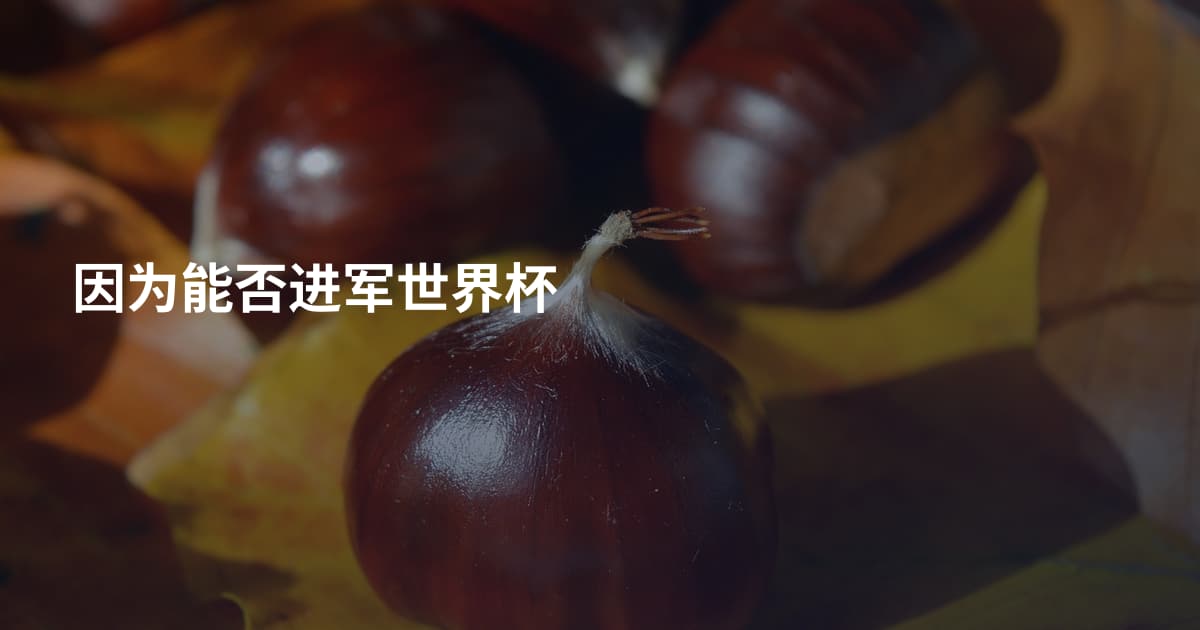 因为能否进军世界杯