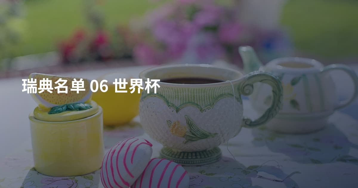 瑞典名单 06 世界杯