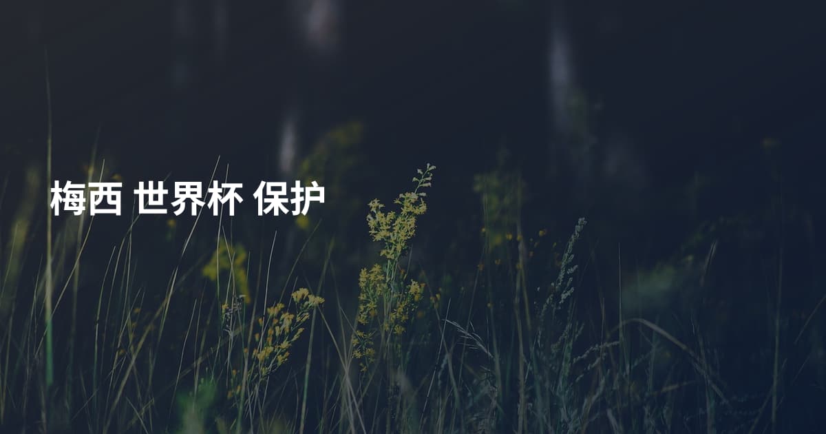 梅西 世界杯 保护