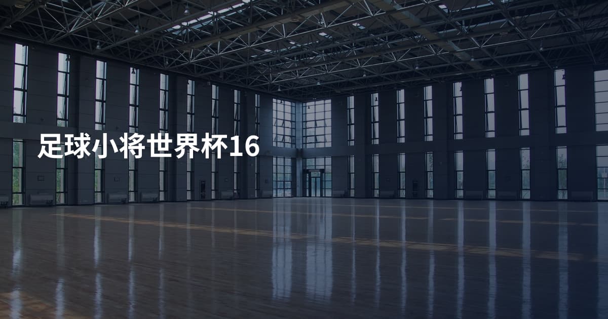 足球小将世界杯16