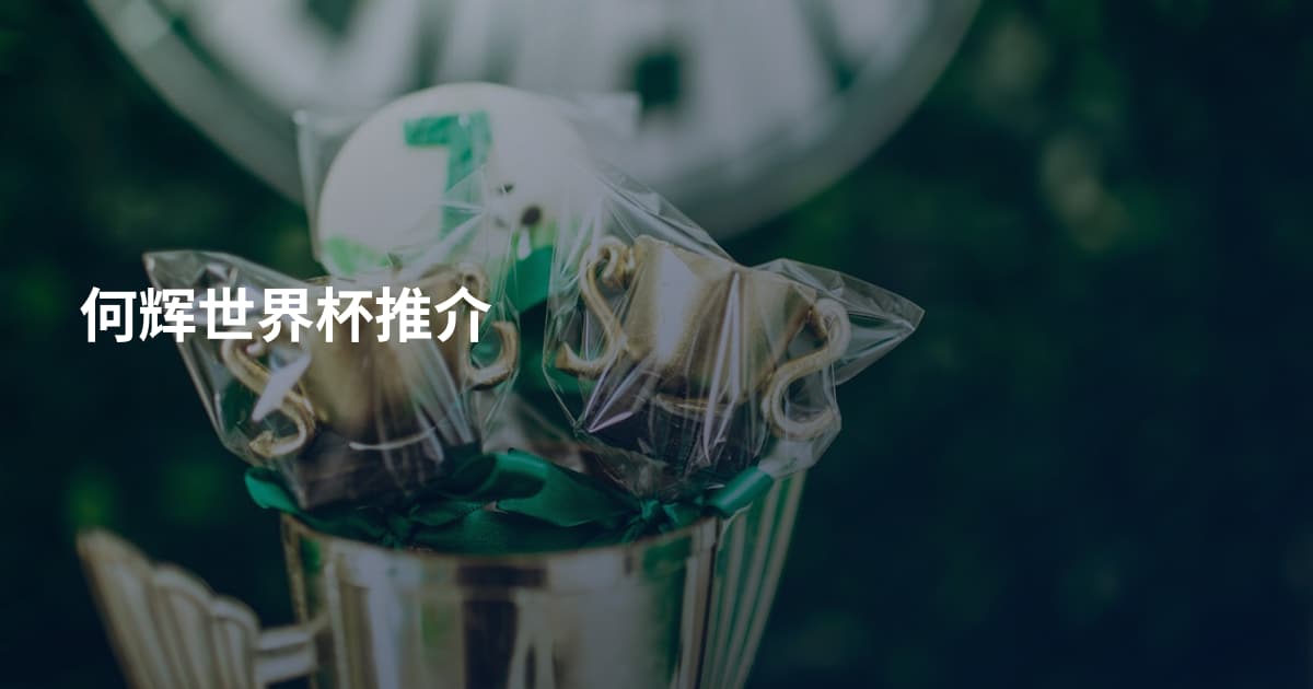 何辉世界杯推介