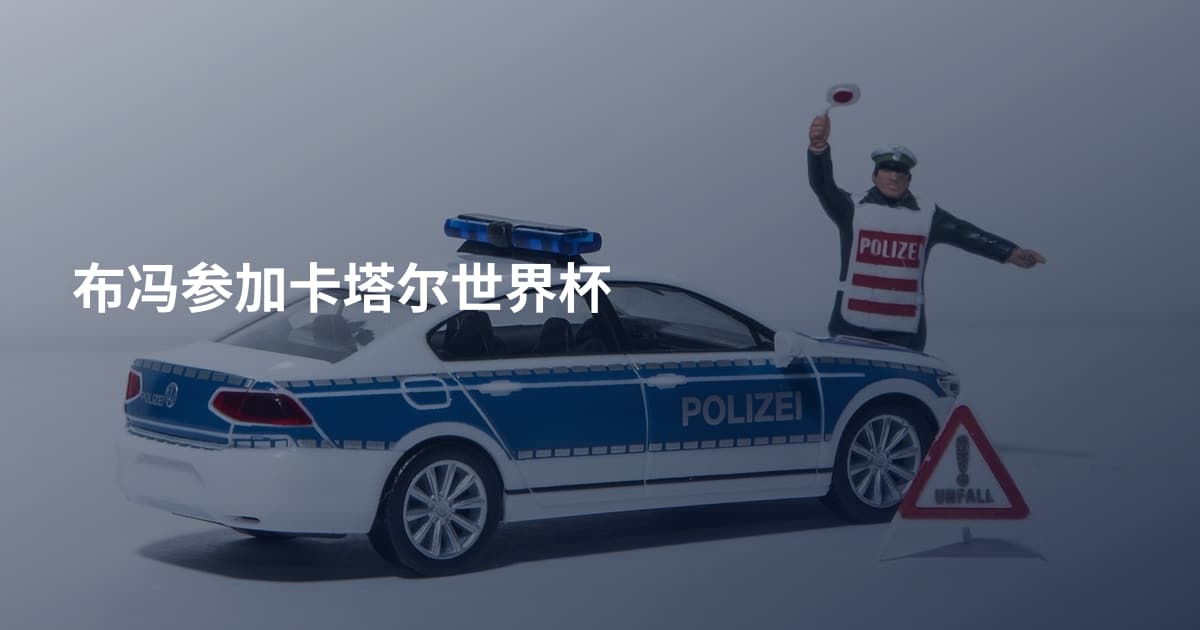 布冯参加卡塔尔世界杯