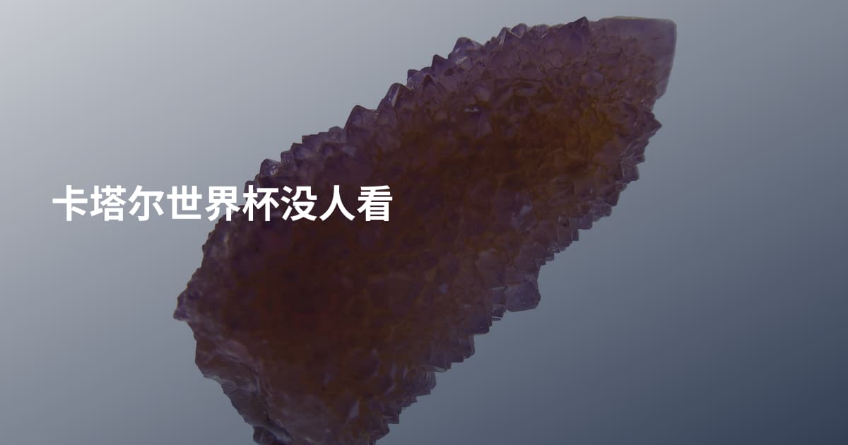 卡塔尔世界杯没人看