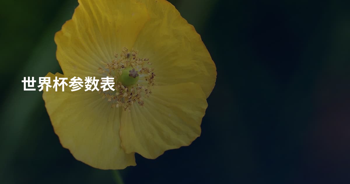 世界杯参数表