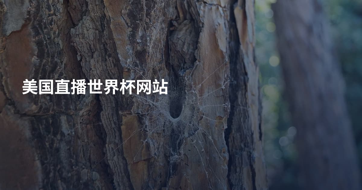 美国直播世界杯网站