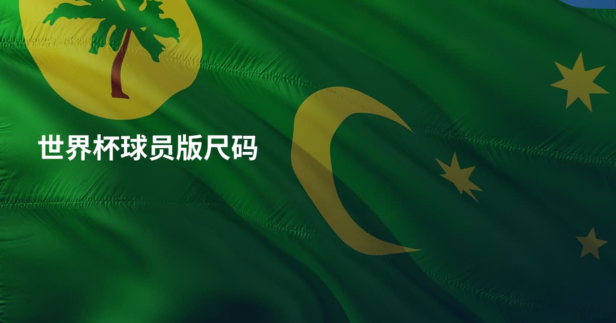 世界杯球员版尺码