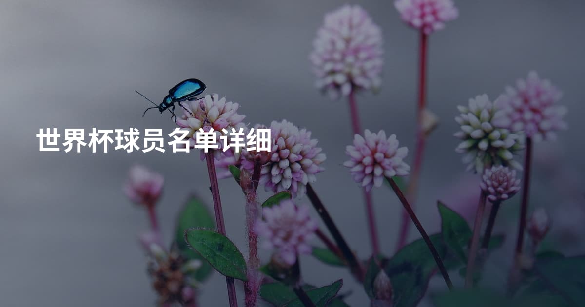 世界杯球员名单详细
