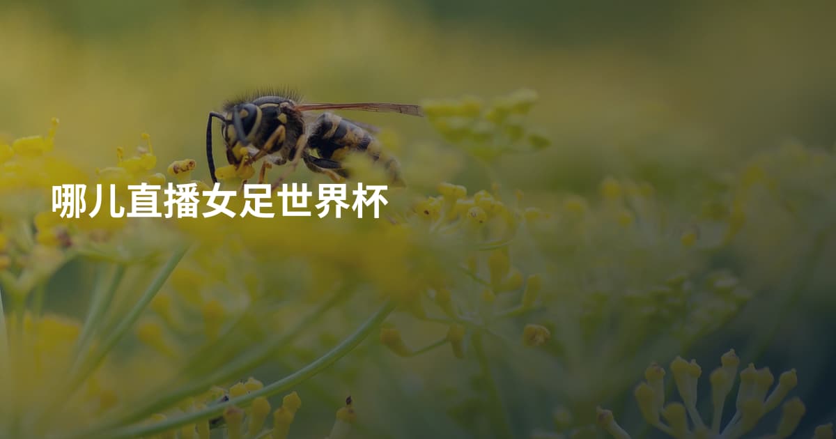 哪儿直播女足世界杯