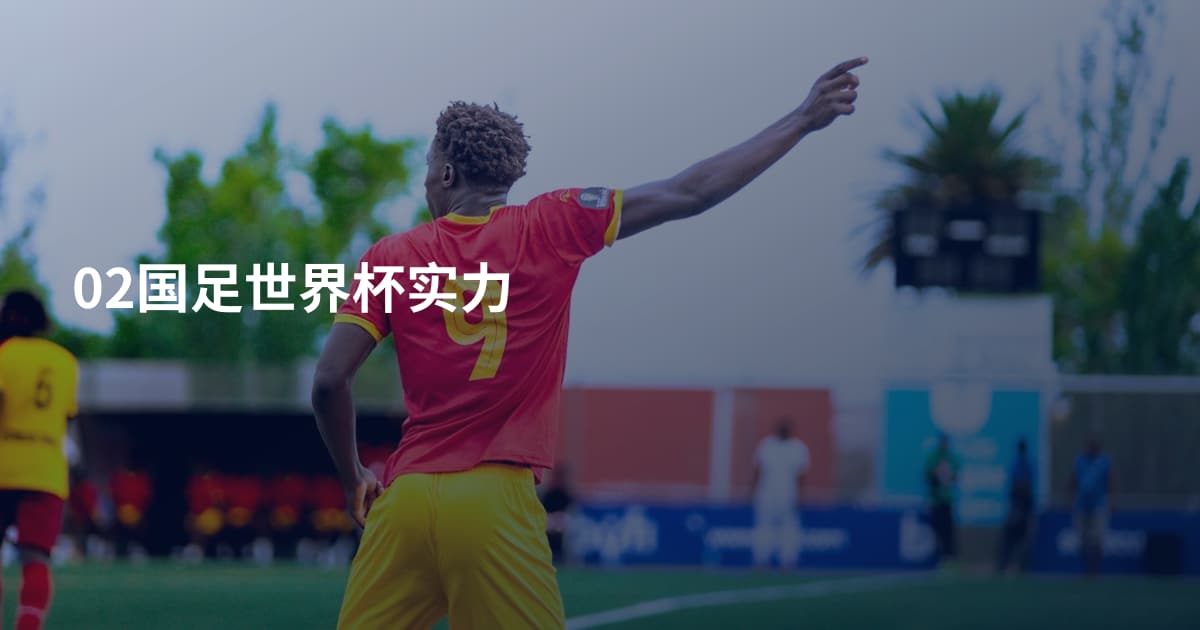 02国足世界杯实力