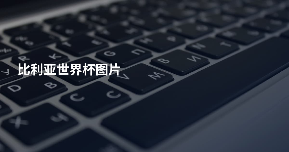 比利亚世界杯图片