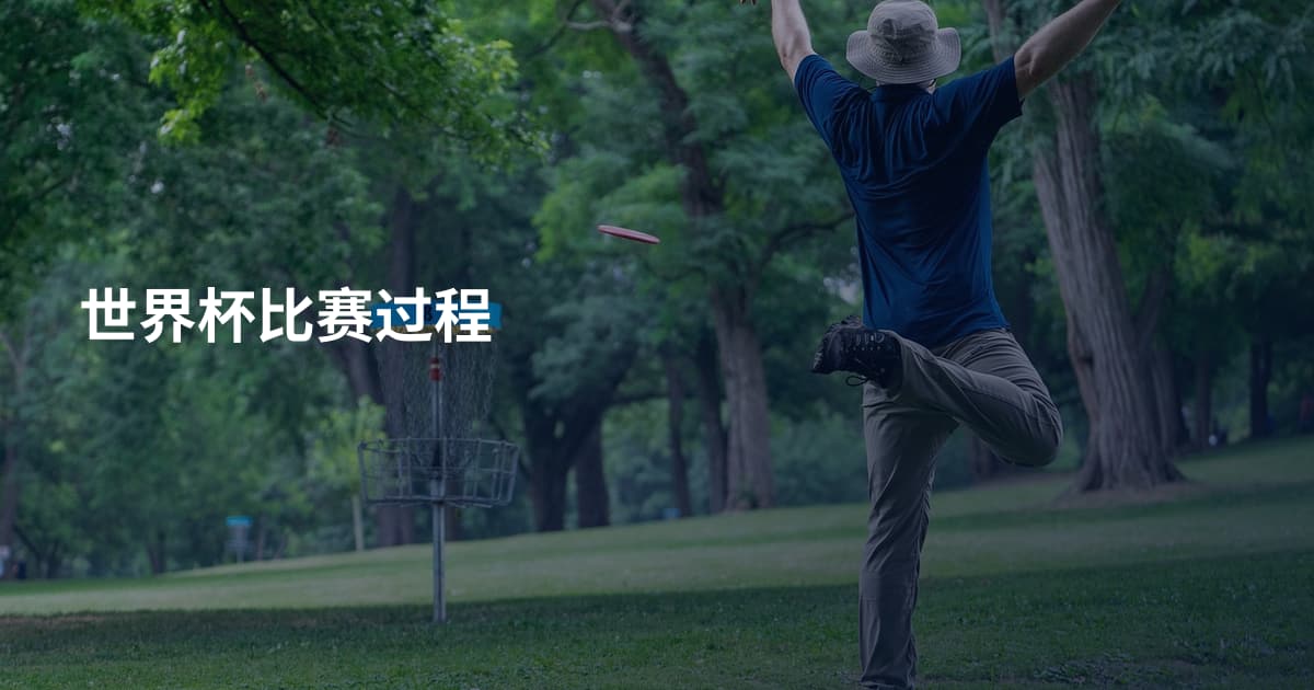 世界杯比赛过程