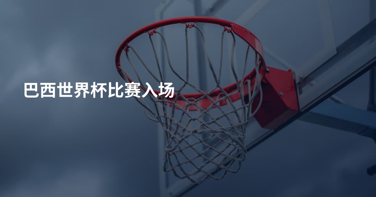 巴西世界杯比赛入场