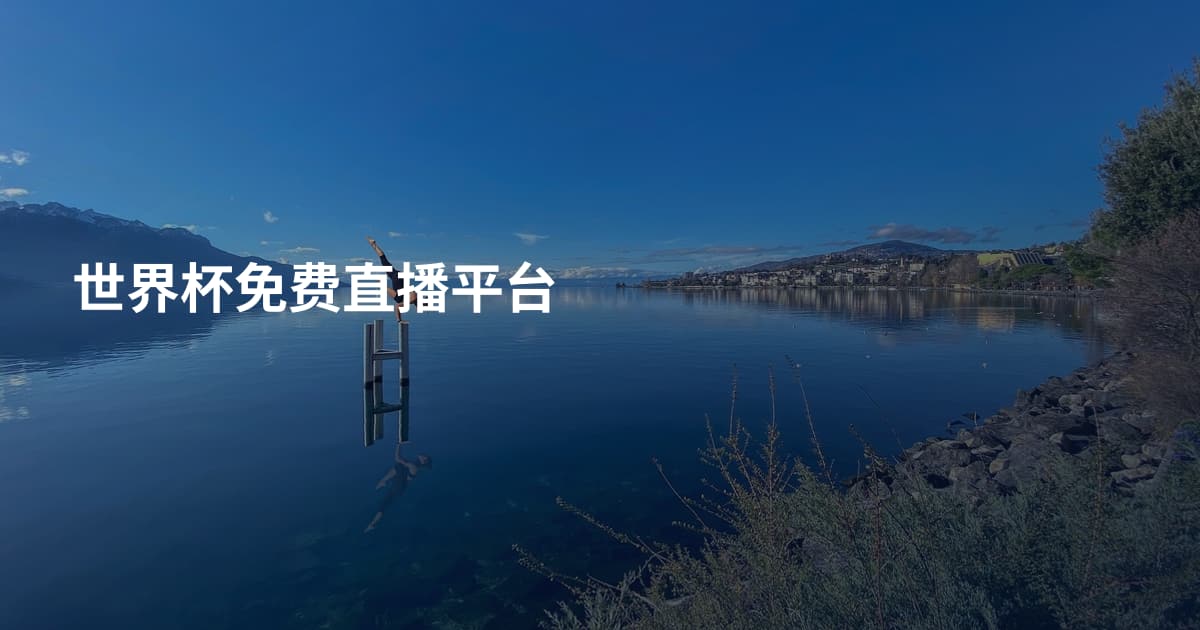 世界杯免费直播平台