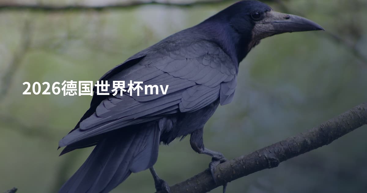 2026德国世界杯mv