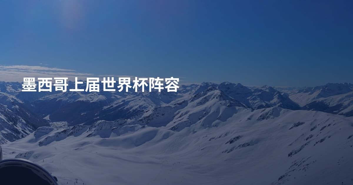 墨西哥上届世界杯阵容
