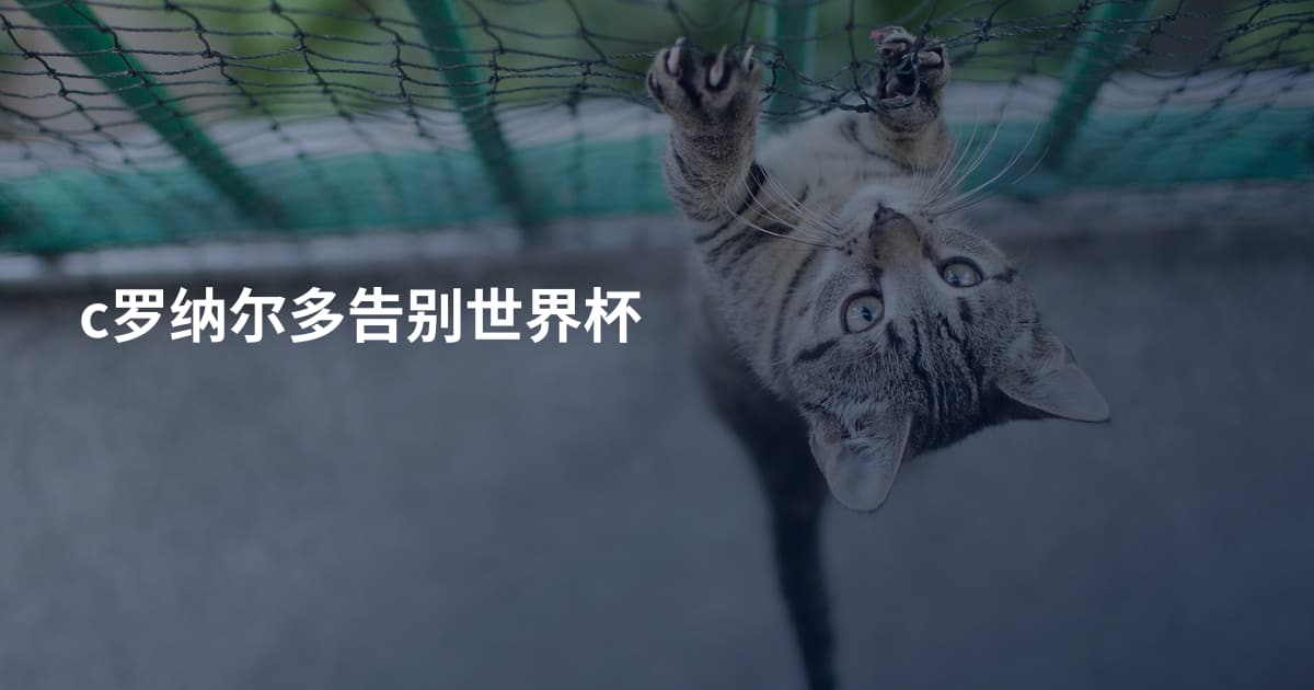 c罗纳尔多告别世界杯