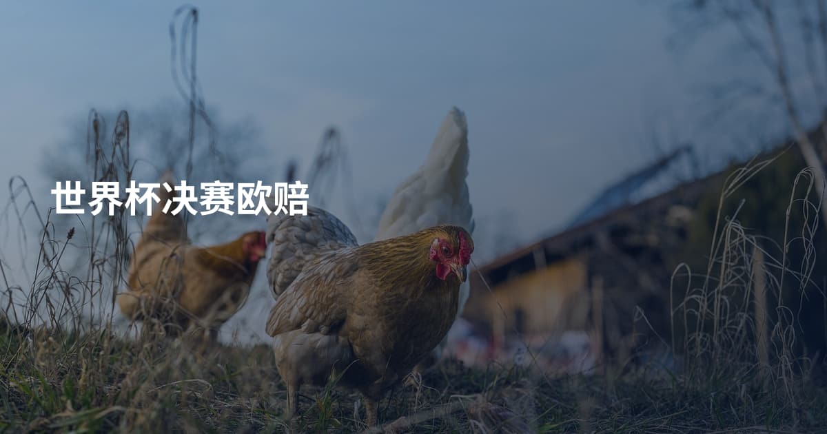 世界杯决赛欧赔
