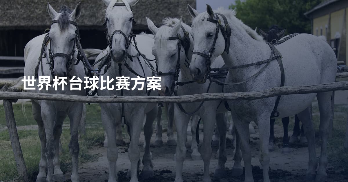 世界杯台球比赛方案