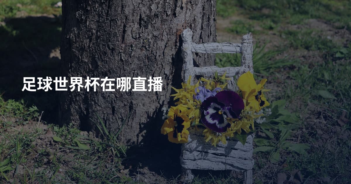 足球世界杯在哪直播